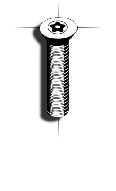 Picture of SecuFast Cinstar M5 x 25 FH A2