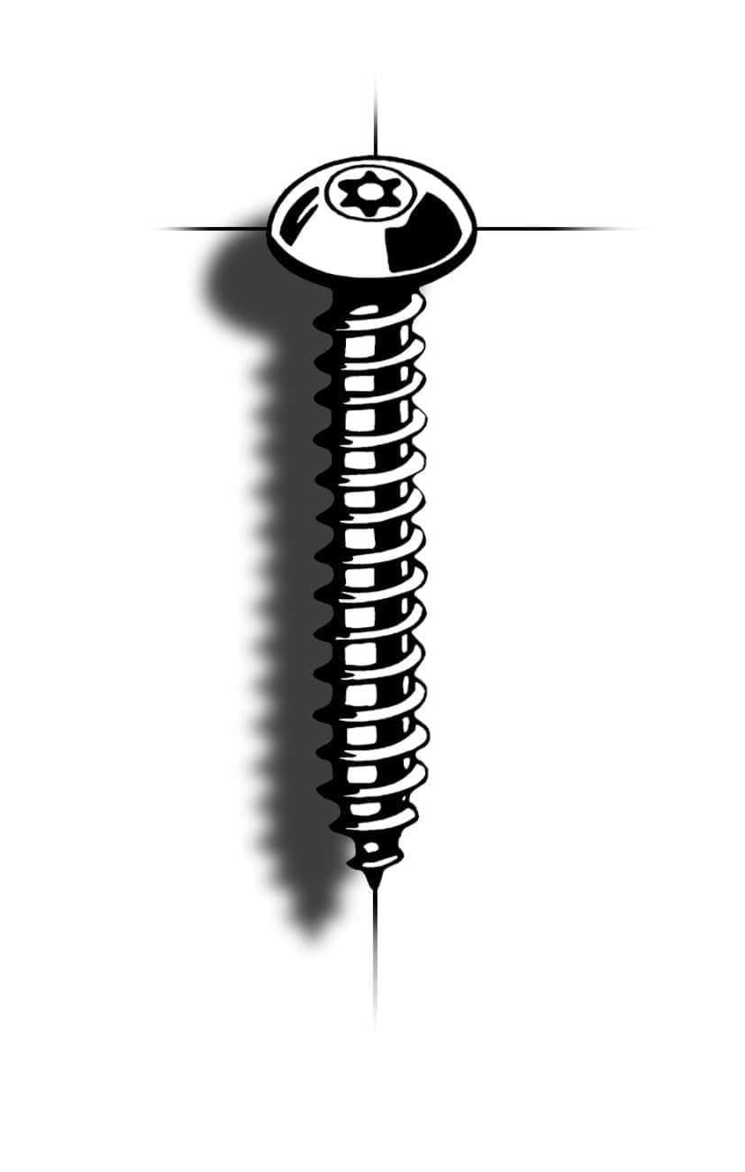 Bild von Blechschraube | 6-Lobe Pin | Flachrundkopf